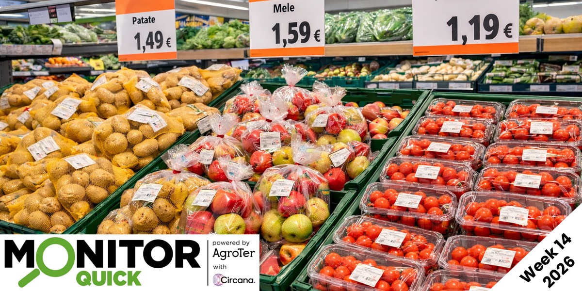 Ortofrutta Lcc, discount in ritardo sui format classici della Distribuzione moderna